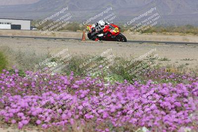 media/Feb-04-2023-SoCal Trackdays (Sat) [[8a776bf2c3]]/Turn 15 Inside Blooming (1050am)/